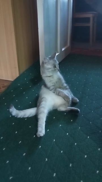 не хочу работать