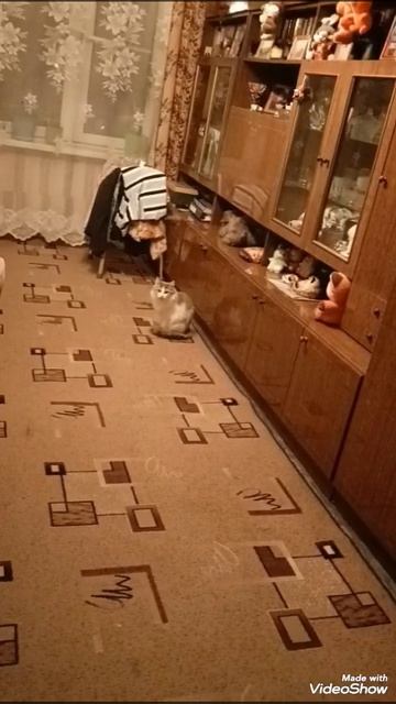 МЫ ПОДКАЧАЛИ В 6 КЛАССЕ В МЕТРО