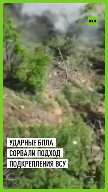 ВСУ не получили подкрепление: работа расчётов БПЛА по выявленным группам