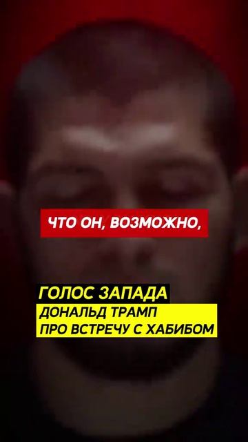 Дональд трамп про встречу с хабибом
