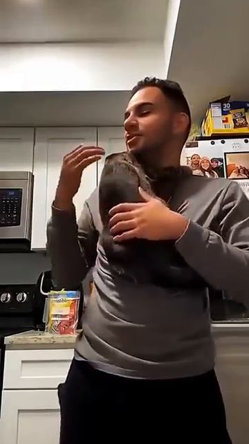VID_20260824_193105_640.mp4