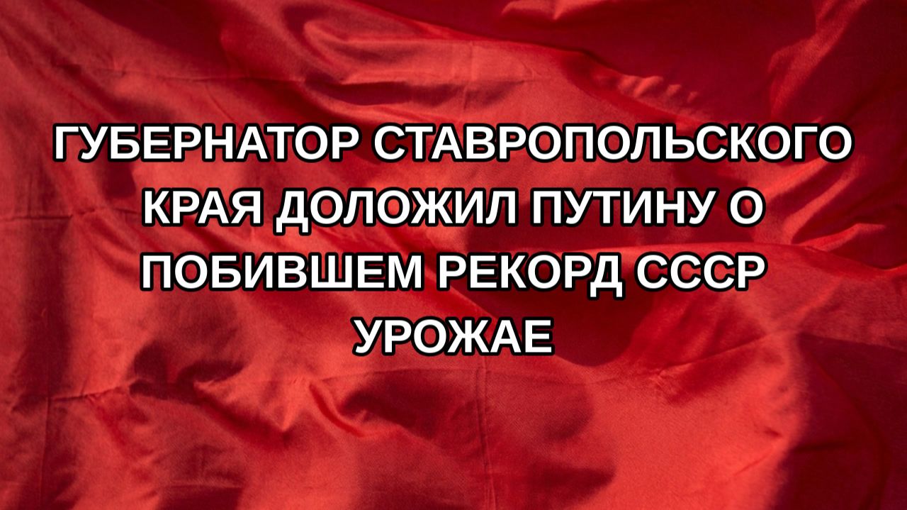 Губернатор Ставропольского края доложил Путину о побившем рекорд СССР урожае