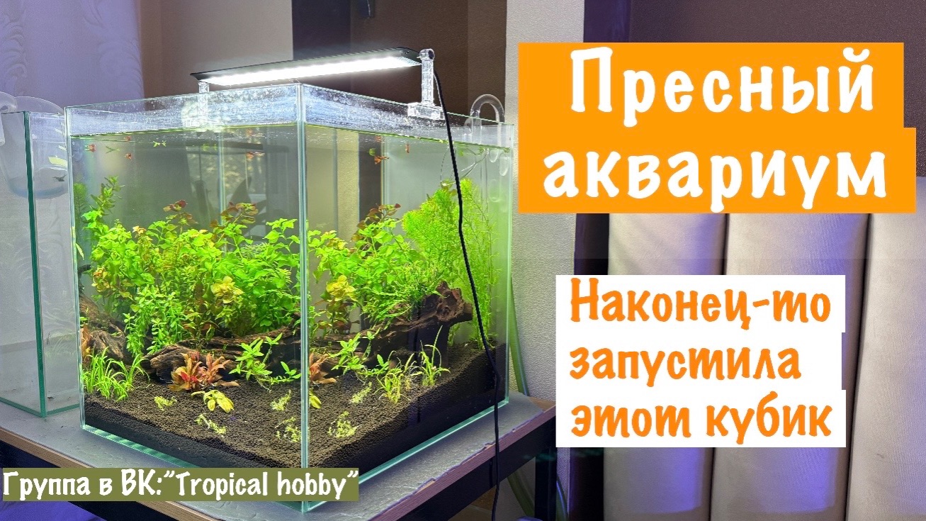 Аквариум: запустила первый кубик)