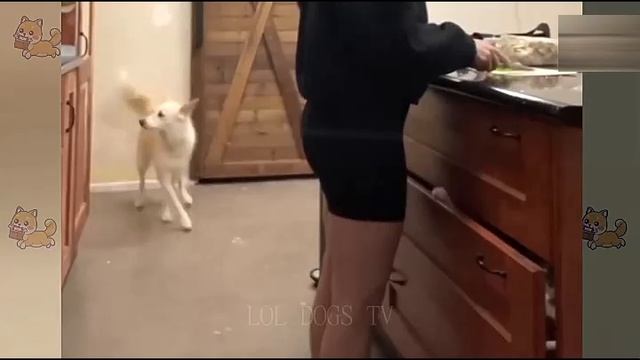Всячинки