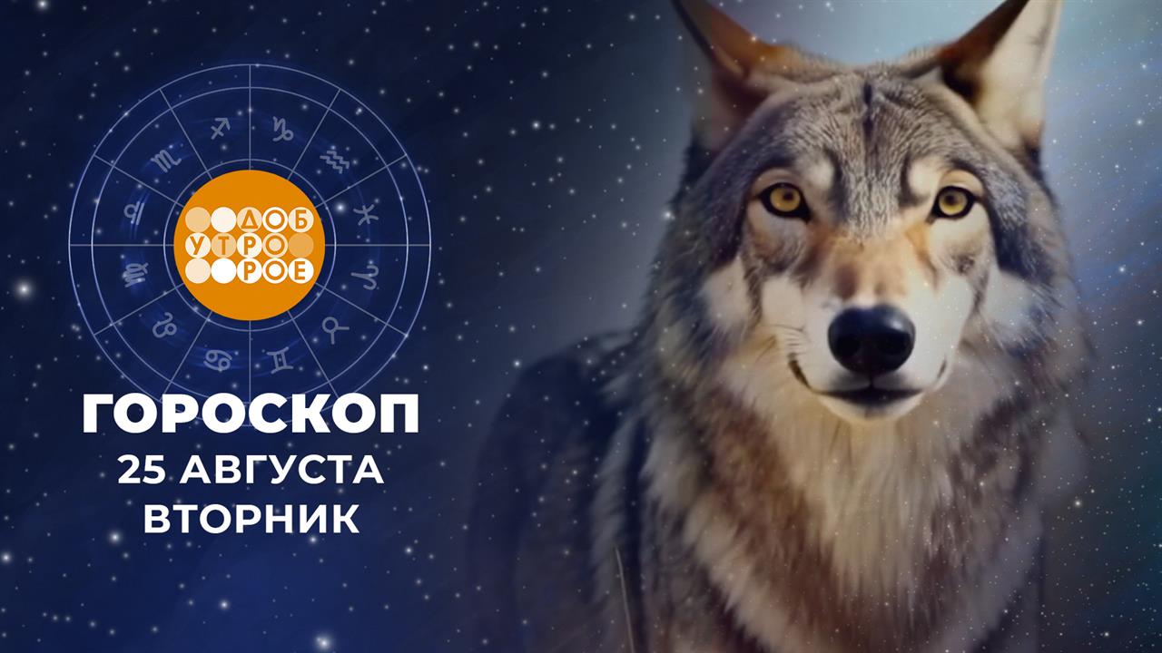 Гороскоп на 25 августа. Доброе утро. Фрагмент выпуска от 25.08.2026