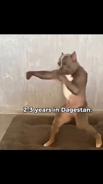 Дагестан🌵🤙🏻