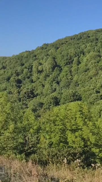 Маркотхский хребет, Геленджик