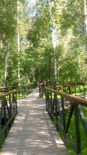 РУЧЕЁК  ИЗ КАМЕНКИ  ПРОГУЛКА  РЕЛАКС