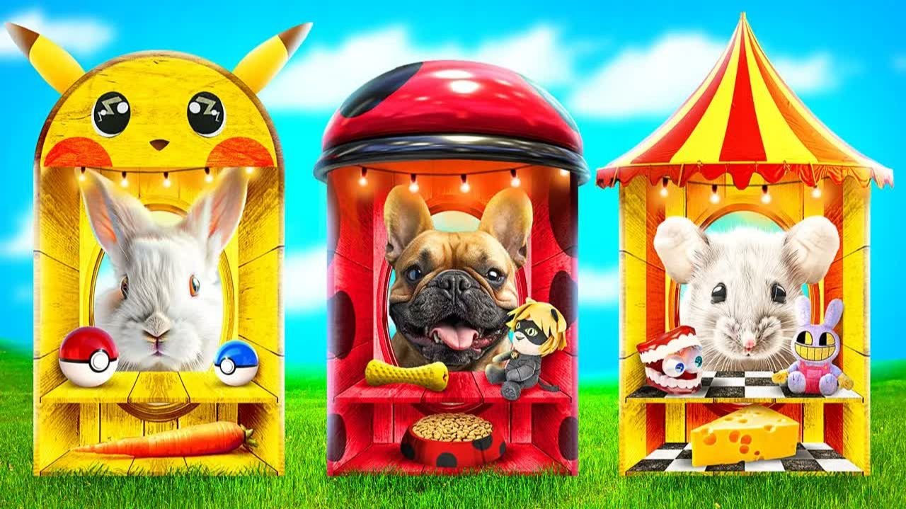 Домики для животных одного цвета челлендж! Помни Vs Леди Баг Vs Пикачу