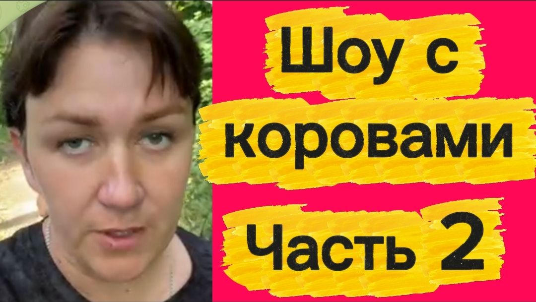 Грязь за вкусняшки?