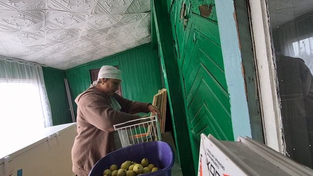 с утра продажи погоды нету а я за кур взялась с грушами покончено