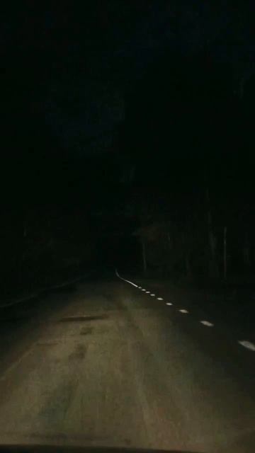 дорожный вайб