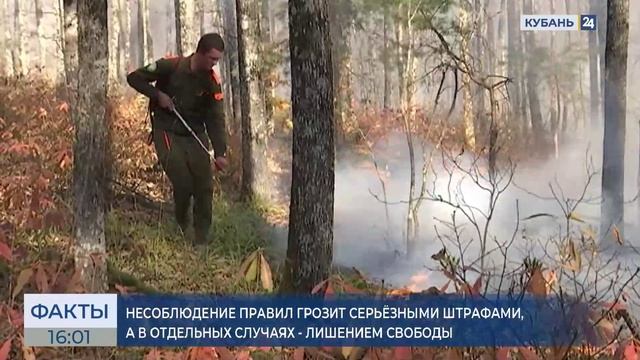 Запрет на посещение лесов продлили до 9 сентября в Краснодарском крае