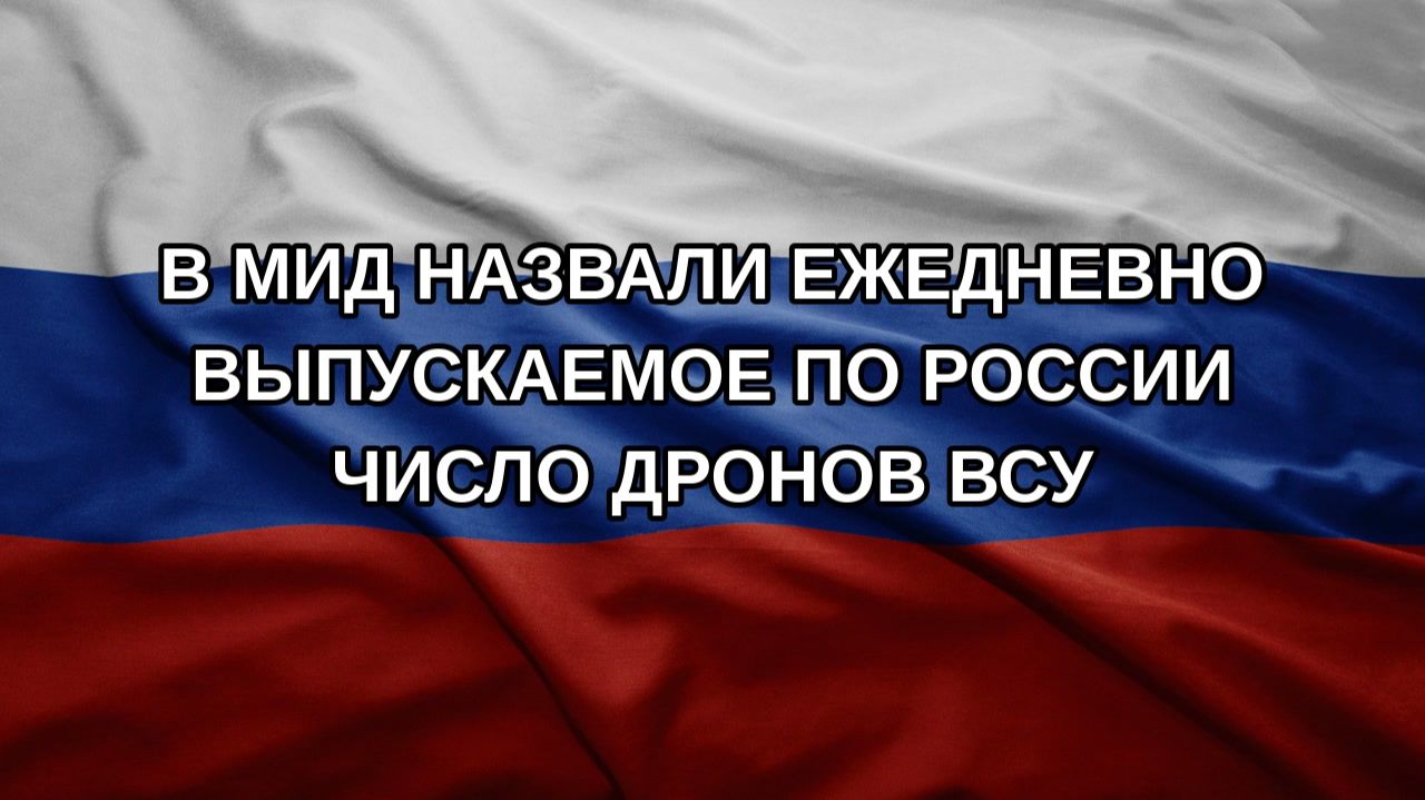 В МИД назвали ежедневно выпускаемое по России число дронов ВСУ