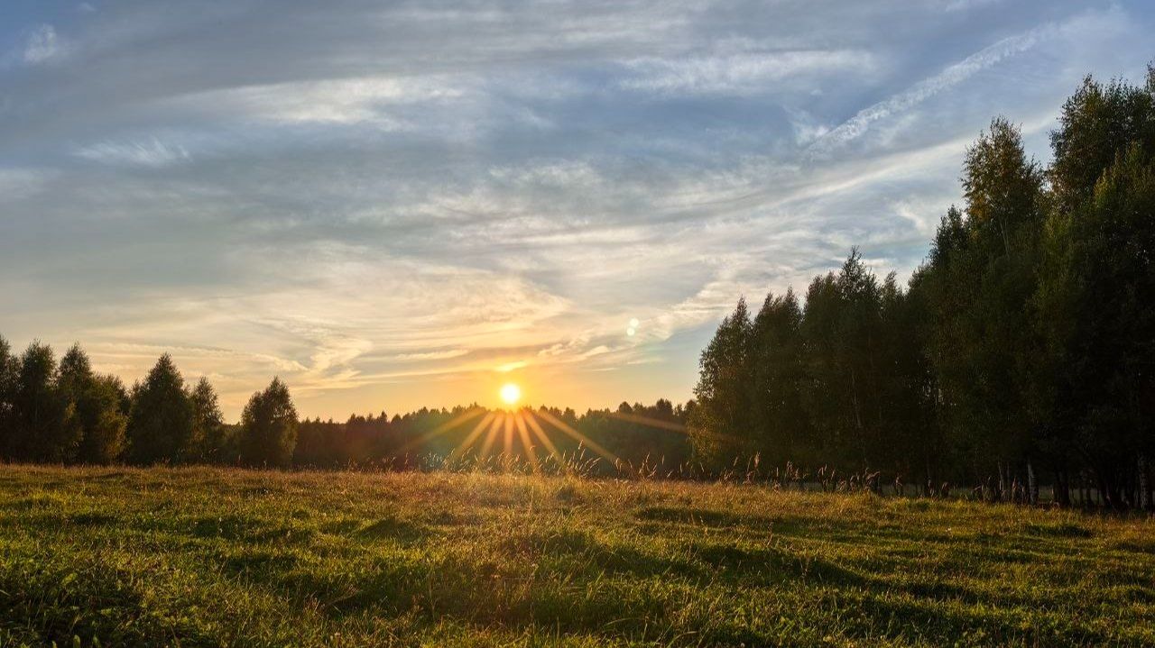Ловушка самонедовльства