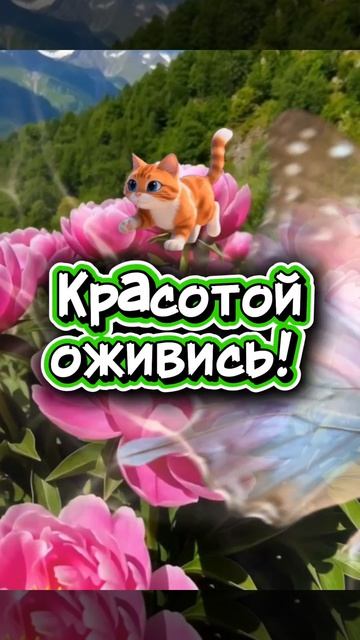 С добрым у тром тебя!