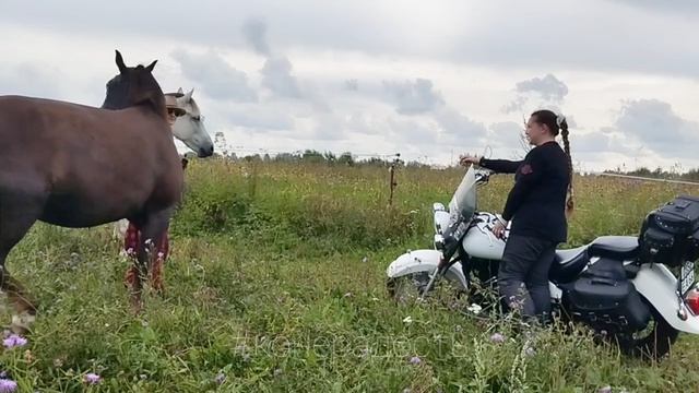 Кони и мото: этап 2 целиком