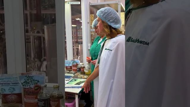 Всё, что вы хотели знать о Кормилице Микоризе