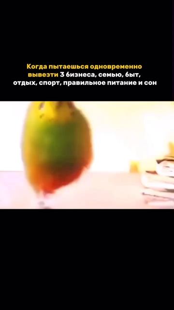 Предприниматель против 24 часов в сутках