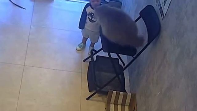 #смех#юмор#топ#рекомендации