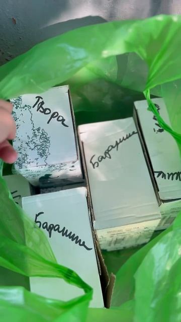 Я не знаю как дожить это лето,и пережить осень,и самое страшное для нас-это предстоящая зима.  -Рубя