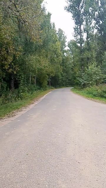 Поворот в деревню Грызлово 25.08.26