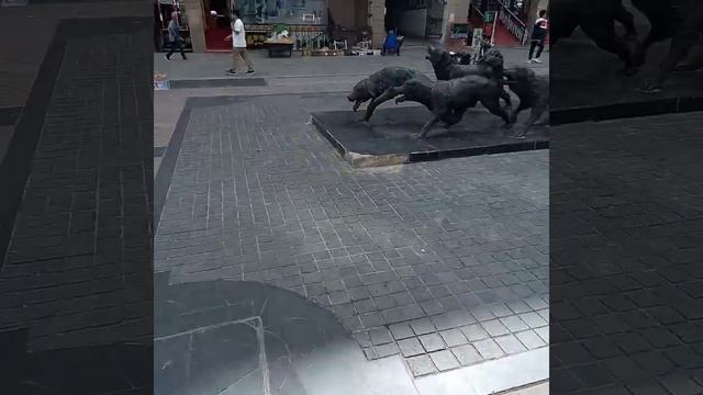китай.маньчжурия,улица Синьхаулу!