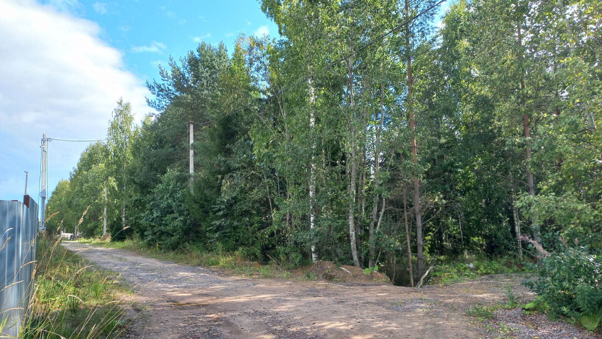 Касимово с лесом