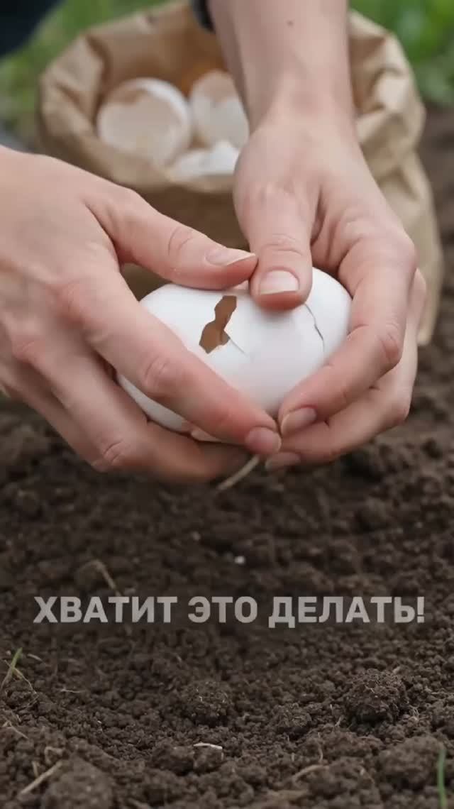 ГЛАВНЫЙ ОБМАН ДЛЯ ДАЧНИКОВ