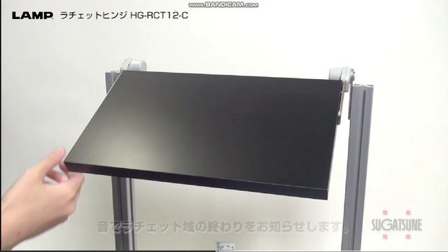 HG-RCT12-C Петля с храповым механизмом С функцией трения. Япония