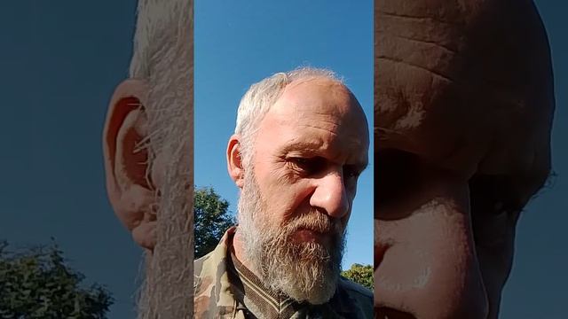 Почему так много проблем с детьми