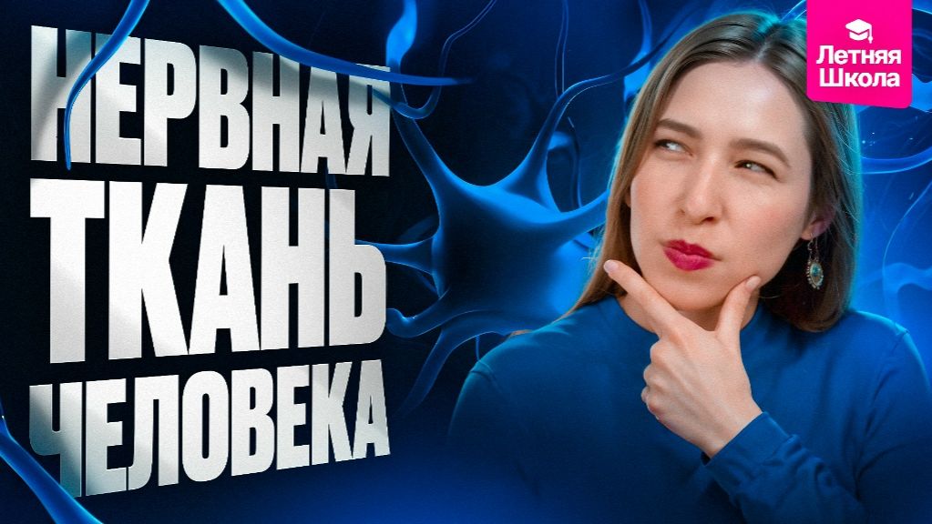 2. Нервная ткань человека | Stepenin.ru