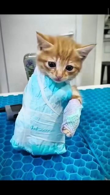 😰мы волнуемся раз❤️ #актив #милота #рек #топ