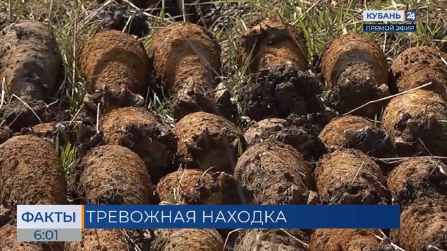 Мину, гранату и патрон времен войны уничтожили в поле в Выселковском районе