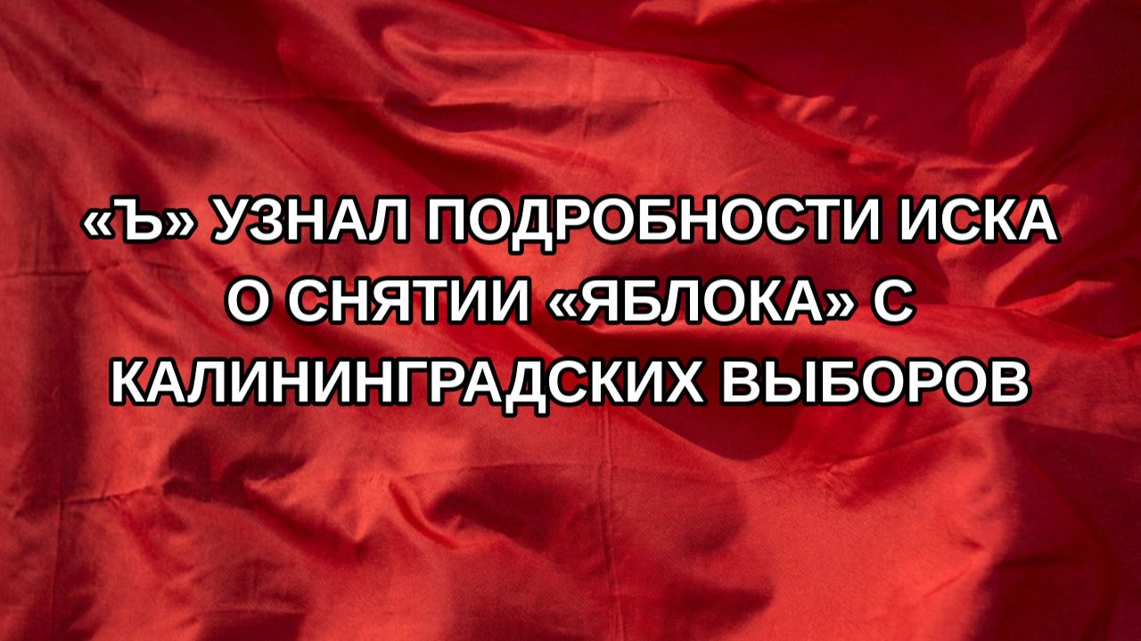 «Ъ» узнал подробности иска о снятии «Яблока» с калининградских выборов