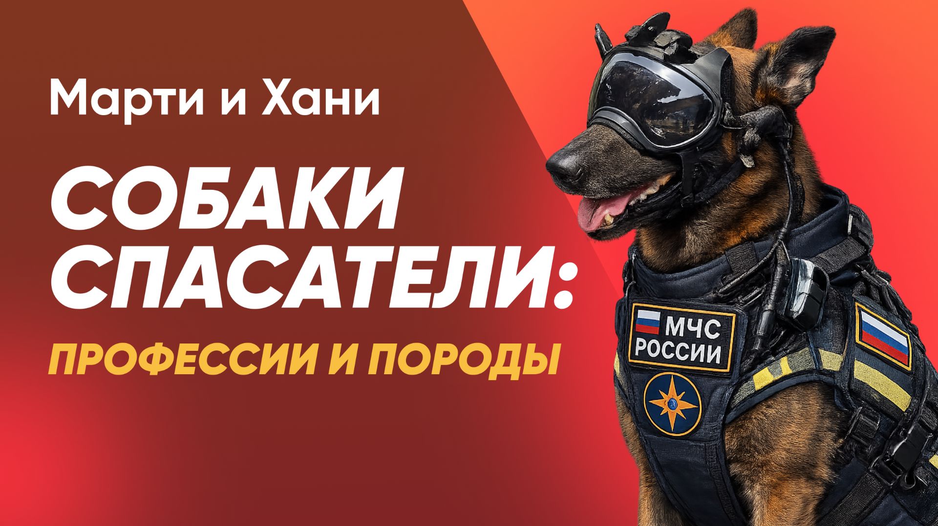СОБАКИ СПАСАТЕЛИ МЧС: ПРОФЕССИИ И ПОРОДЫ / ОНИ НАХОДЯТ ЛЮДЕЙ ПОД ЗАВАЛАМИ
