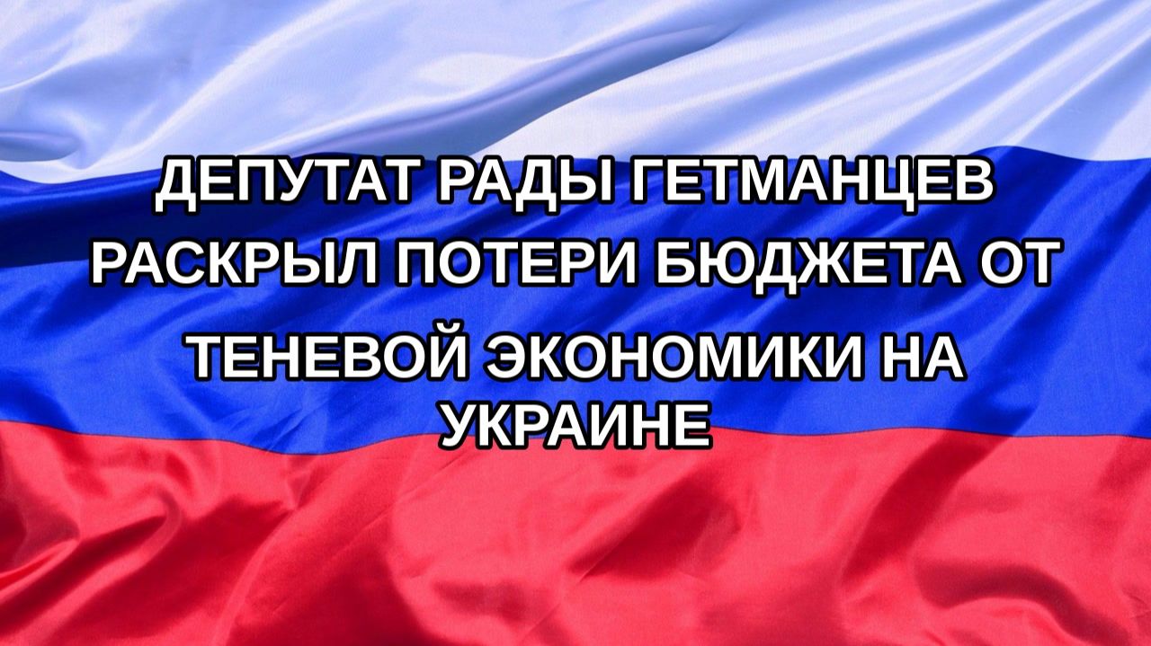 |Н. РФ| Депутат Рады Гетманцев раскрыл потери бюджета от теневой экономики на Украине