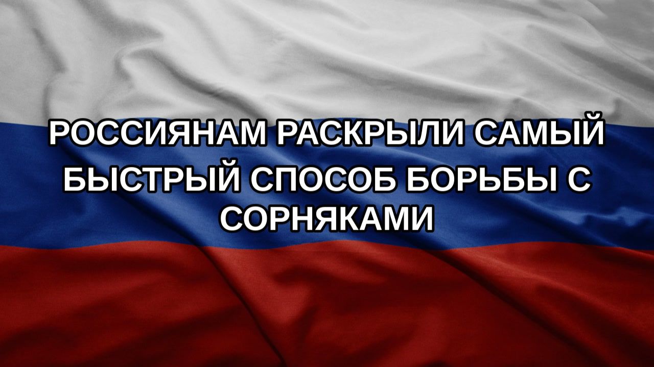 Россиянам раскрыли самый быстрый способ борьбы с сорняками