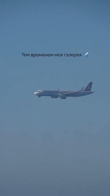 спокойствие жизни
