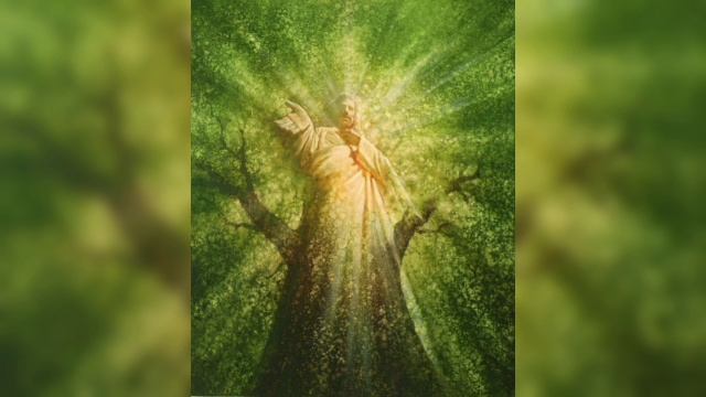 25.08.26.МОЛИТВА ПРОРЫВА В ИИСУСЕ ХРИСТЕ👑🎻🪷🌳🩸💓🌎🛡️💞☀️🕊️🌸🙏