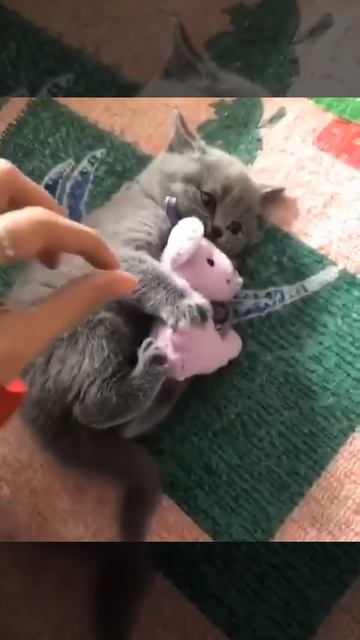 Это моя игрушечка