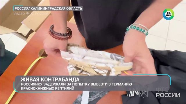 Телеканал «МИР 24», программа «Новости», 25.08.2026