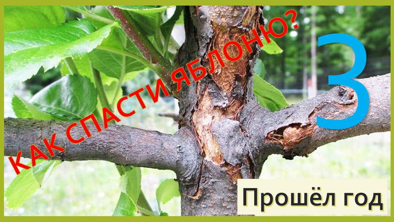Давайте хакнем жизнь)))