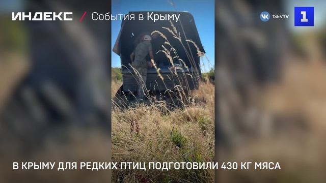 В Крыму для редких птиц подготовили 430 кг мяса