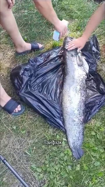 На заметку 📝