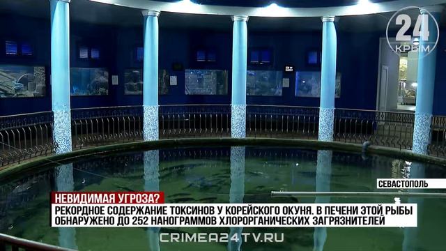 Севастопольские учёные обнаружили токсины в обитателях Чёрного моря