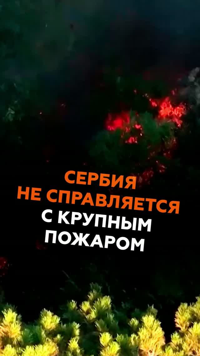 Сербия не справляется с крупным пожаром #сербия #новости #пожар #жара #засуха #европа #чп