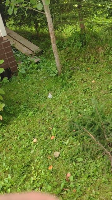 VID_20260821_165245