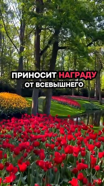 Сад в Раю...#ислам #истина #благое 🕌🕋🕌☝️ → 👤 Ислам Истина →