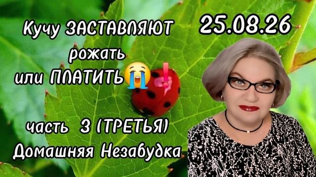 3 часть. Кучу ЗАСТАВЛЯЮТ РОЖАТЬ или ПЛАТИТЬ😭❗️